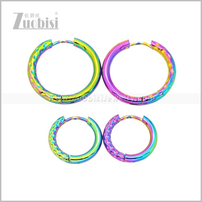 Stainless Steel Earring e003044C2