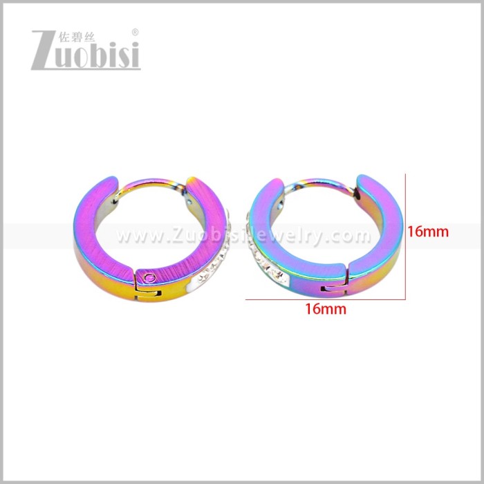 Stainless Steel Earring e003049C
