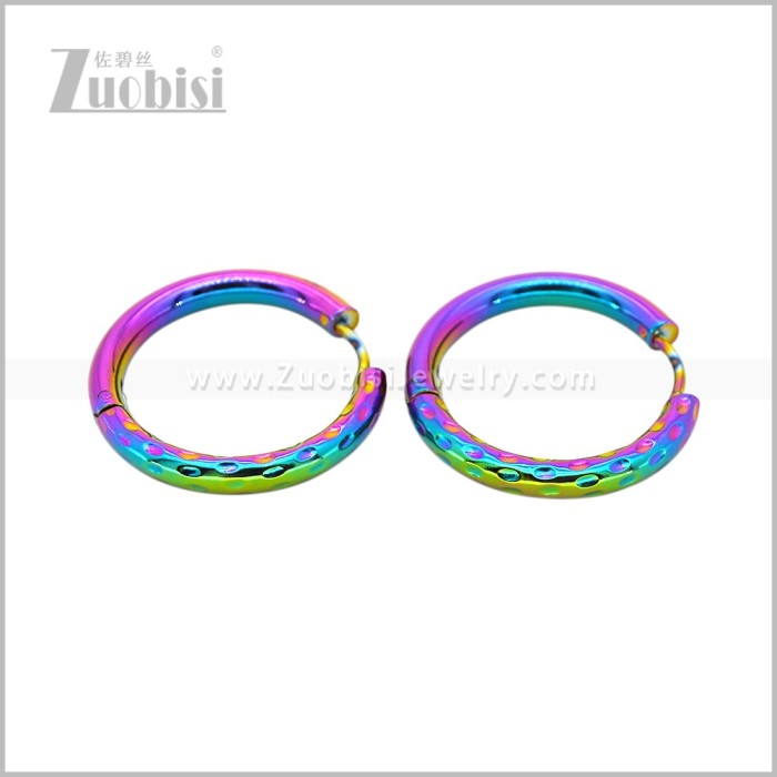 Stainless Steel Earring e003044C2