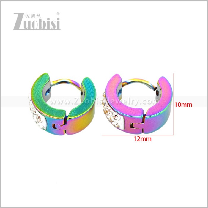 Stainless Steel Earring e003053C