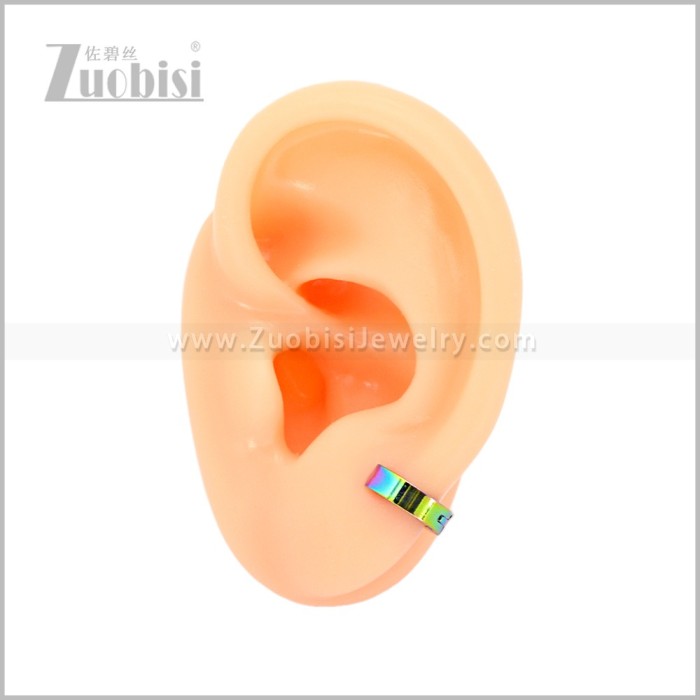 Stainless Steel Earring e003062C3