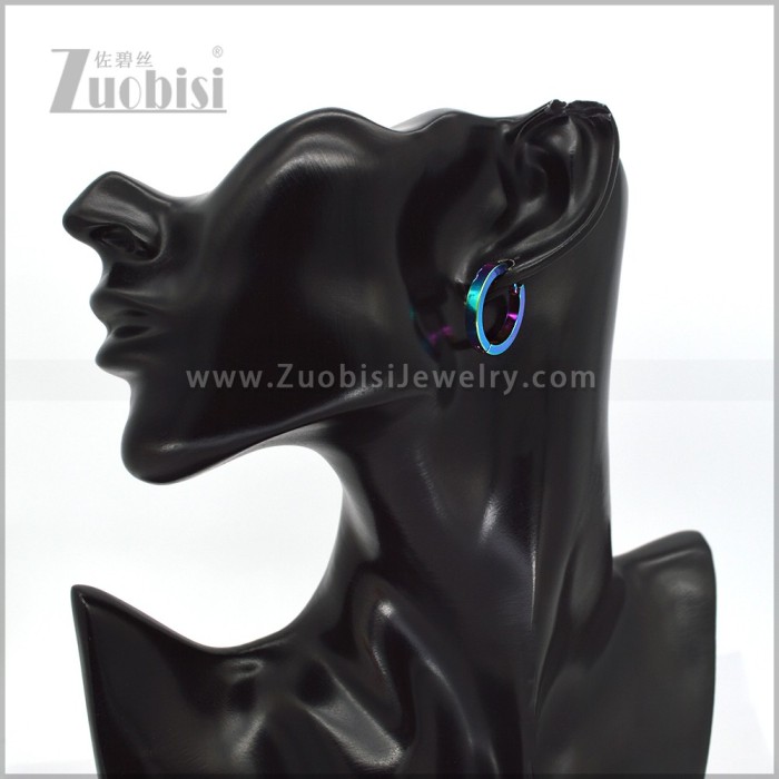 Stainless Steel Earring e003061C1