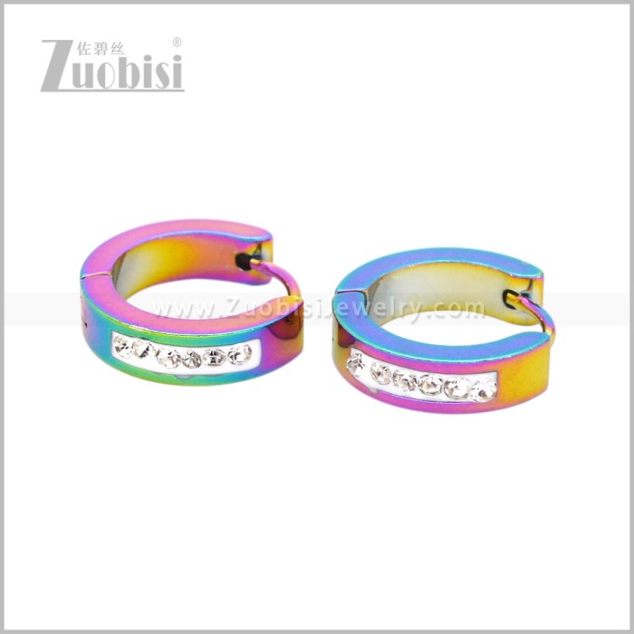 Stainless Steel Earring e003042C