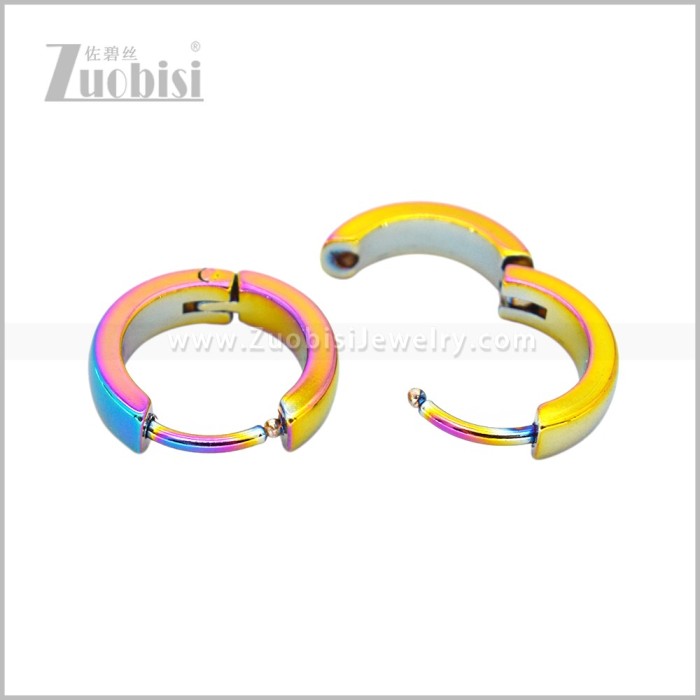 Stainless Steel Earring e003068C2