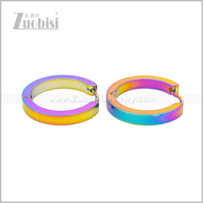 Stainless Steel Earring e003061C1