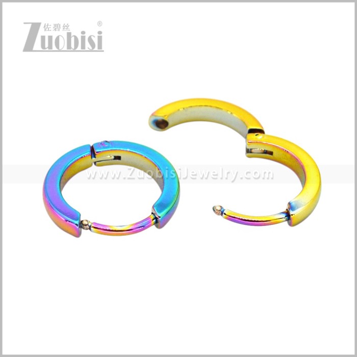 Stainless Steel Earring e003076C2