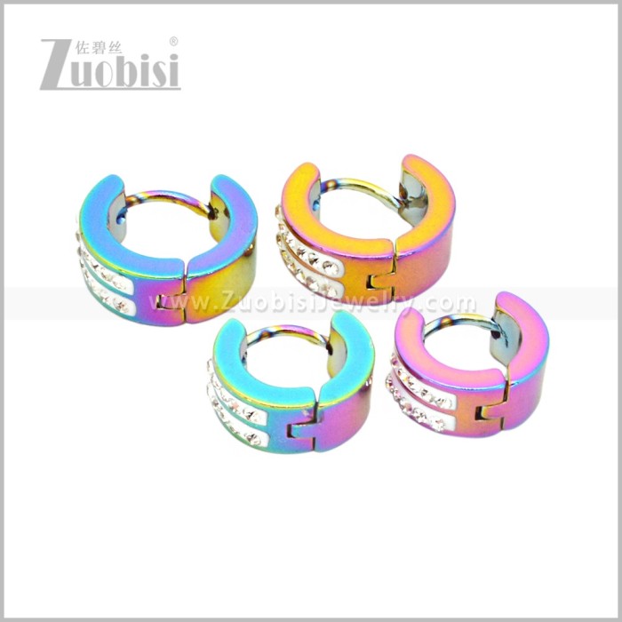 Stainless Steel Earring e003060C2
