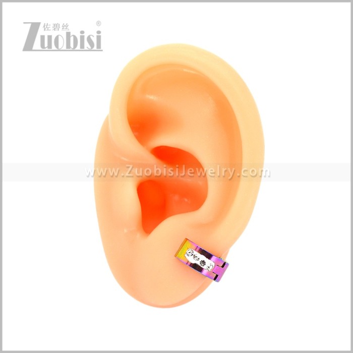 Stainless Steel Earring e003069C1