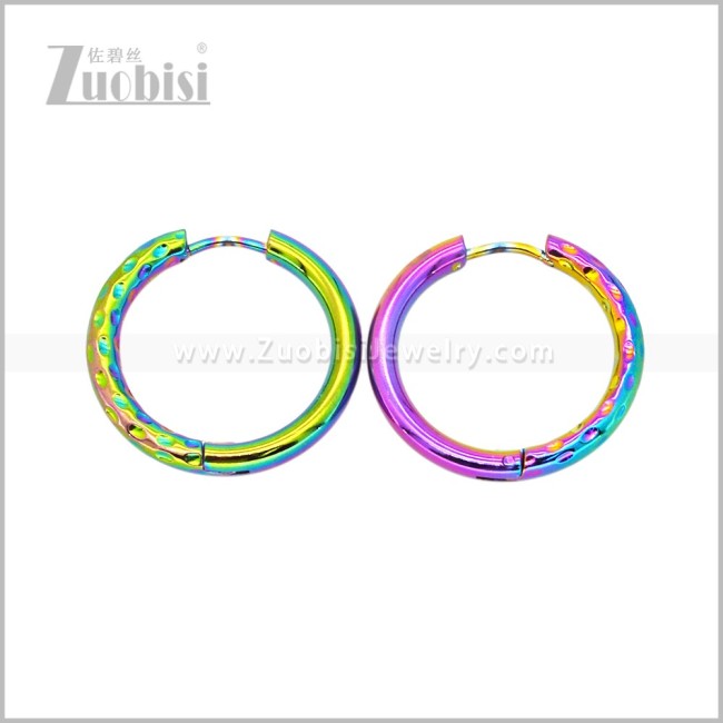 Stainless Steel Earring e003044C2