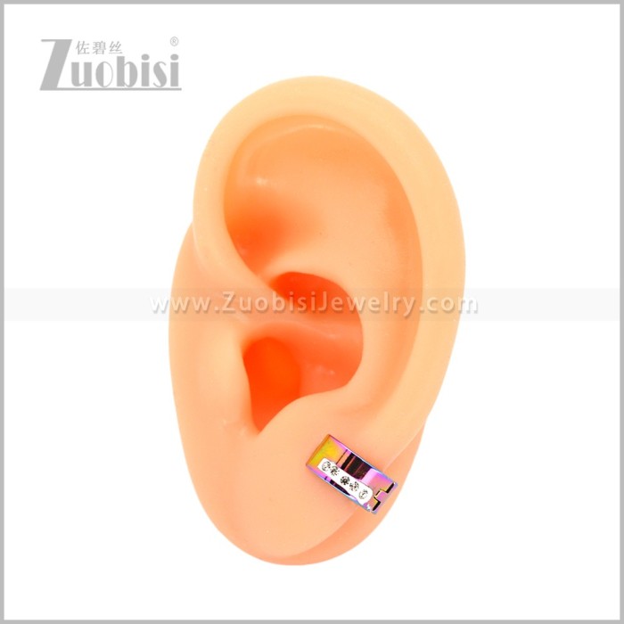 Stainless Steel Earring e003077C1
