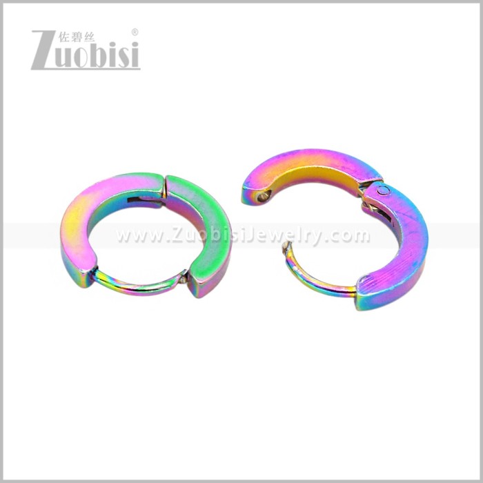 Stainless Steel Earring e003062C2