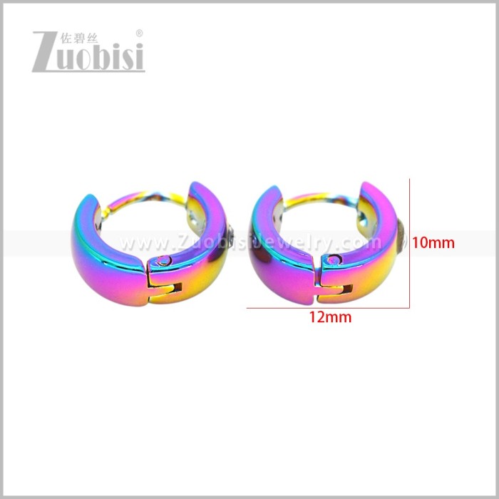 Stainless Steel Earring e003039C1