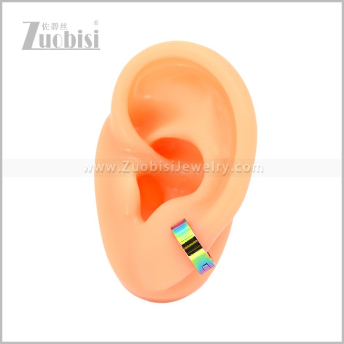 Stainless Steel Earring e003062C6