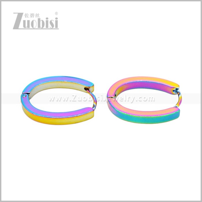 Stainless Steel Earring e003046C