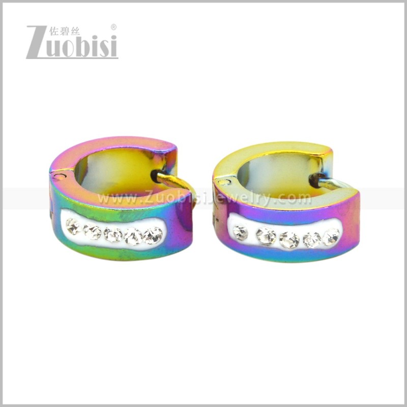 Stainless Steel Earring e003069C2