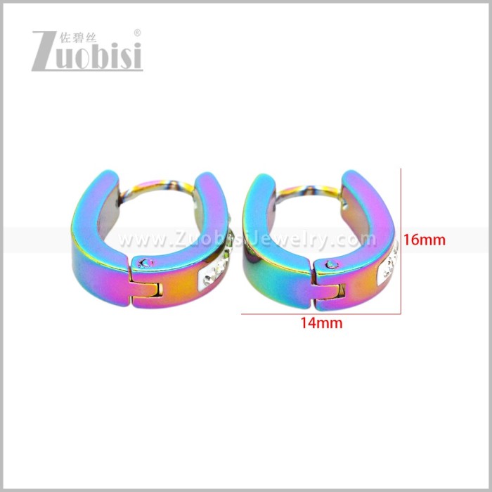 Stainless Steel Earring e003043C2
