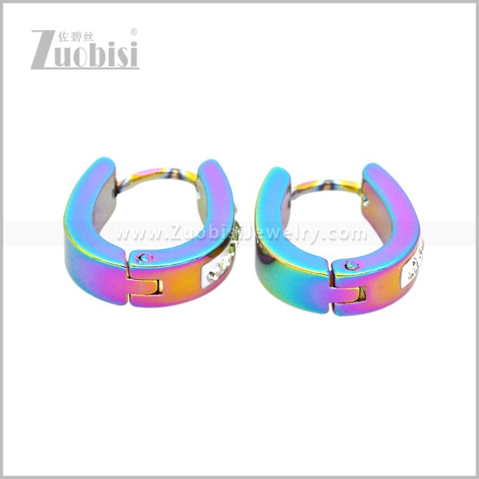 Stainless Steel Earring e003043C2