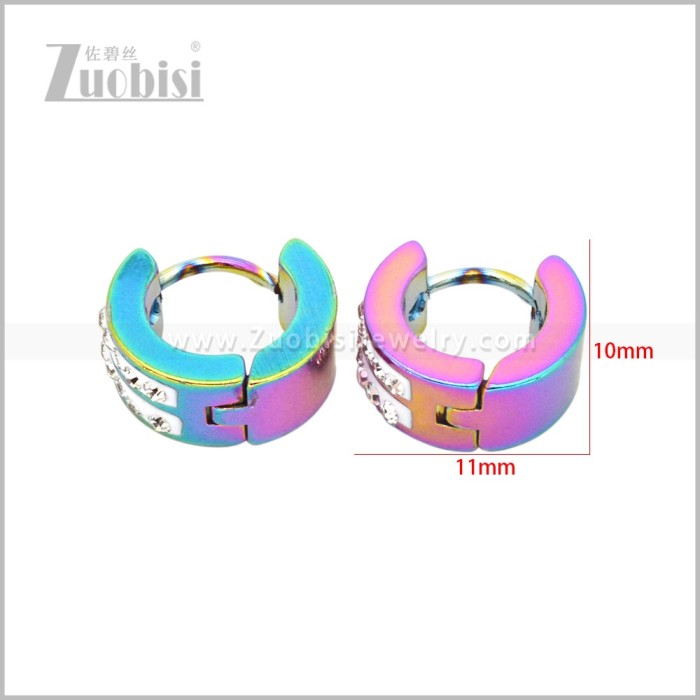 Stainless Steel Earring e003060C1