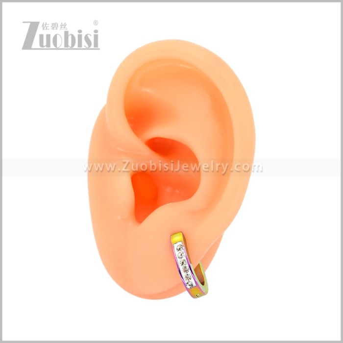 Stainless Steel Earring e003043C1