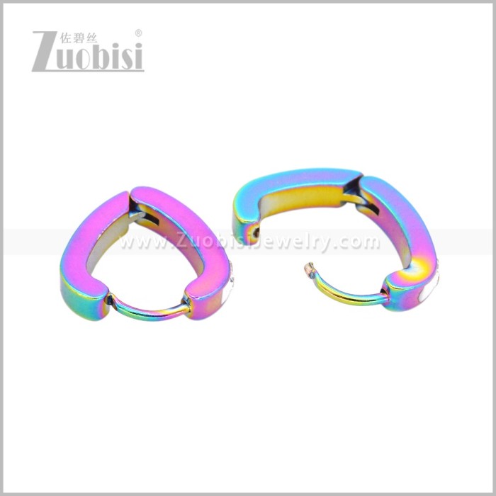 Stainless Steel Earring e003047C