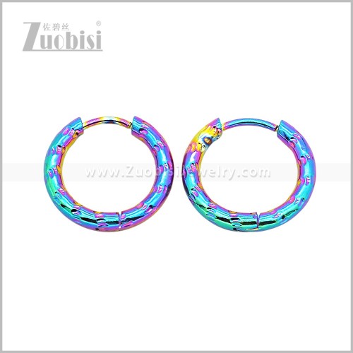 Stainless Steel Earring e003045C