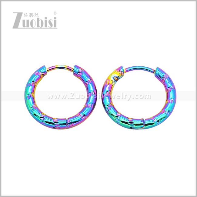 Stainless Steel Earring e003045C