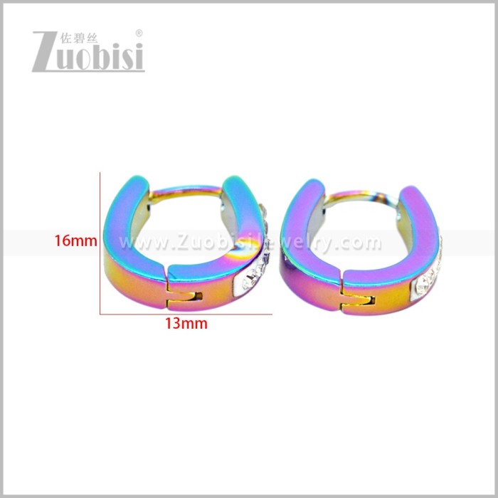 Stainless Steel Earring e003043C1