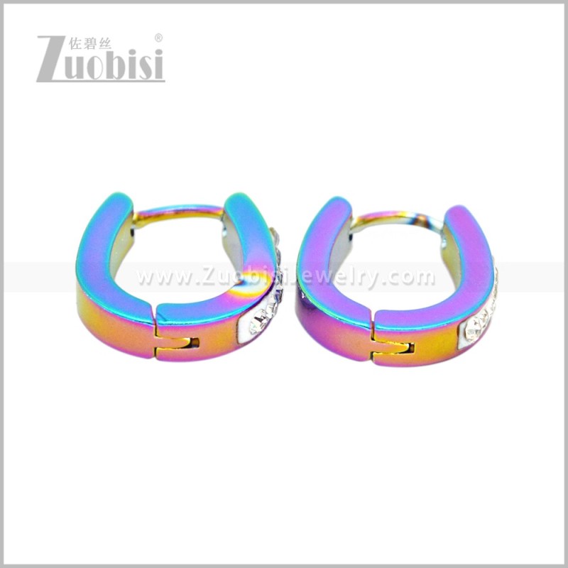 Stainless Steel Earring e003043C1