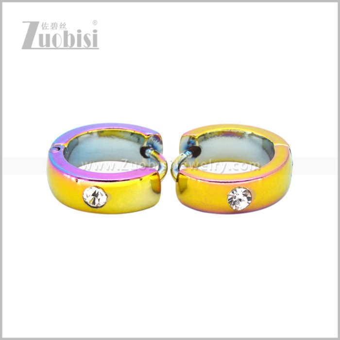 Stainless Steel Earring e003039C2