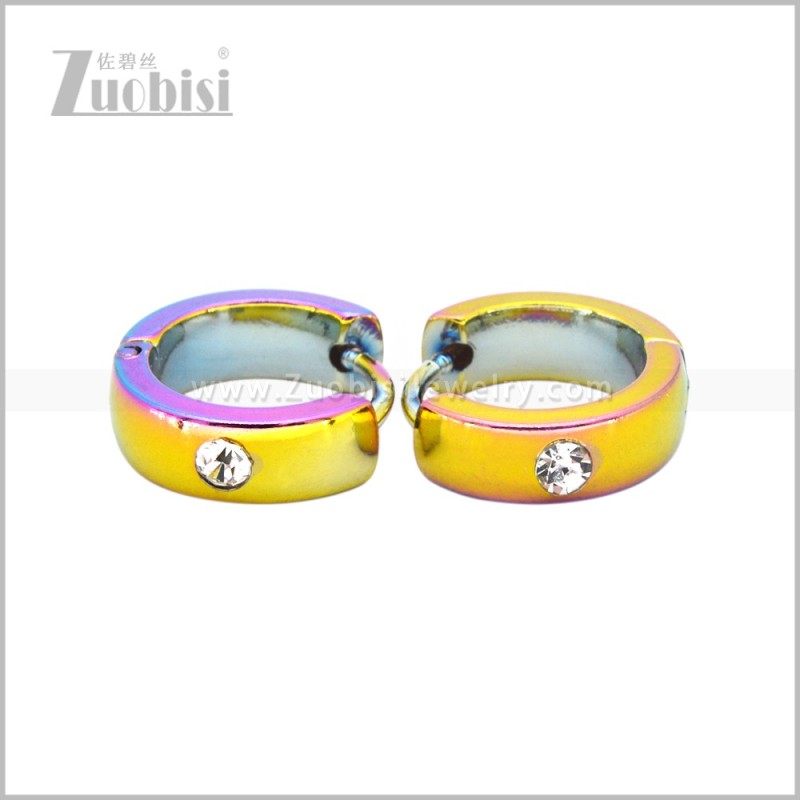 Stainless Steel Earring e003039C2