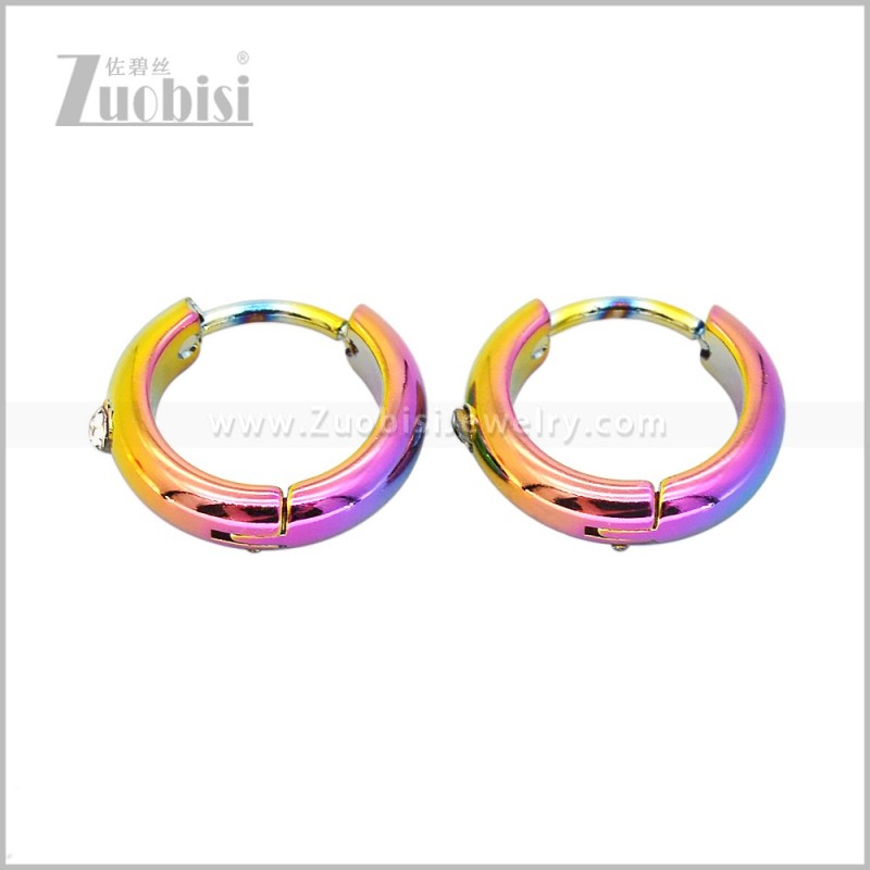 Stainless Steel Earring e003059C2