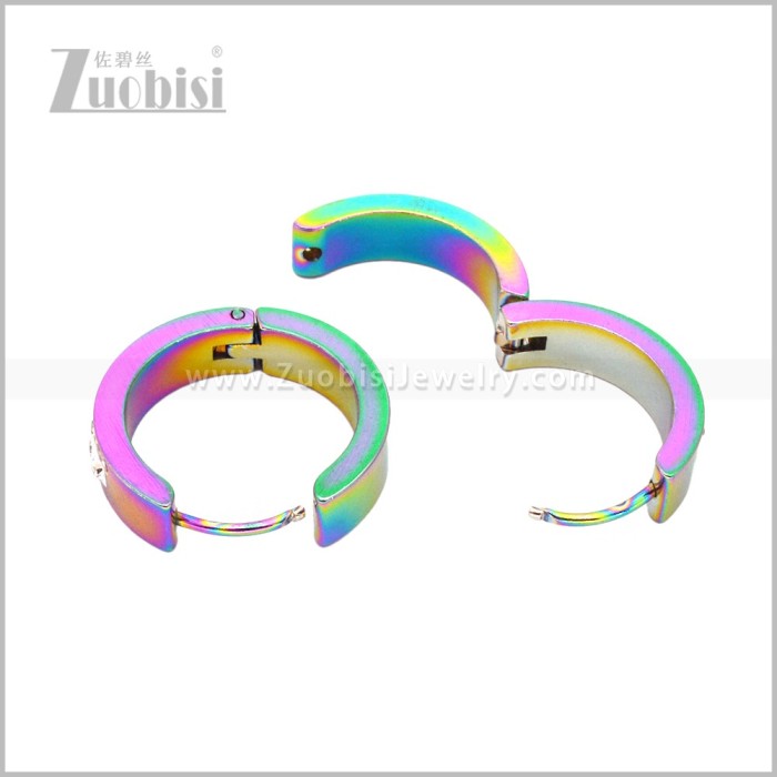 Stainless Steel Earring e003090C