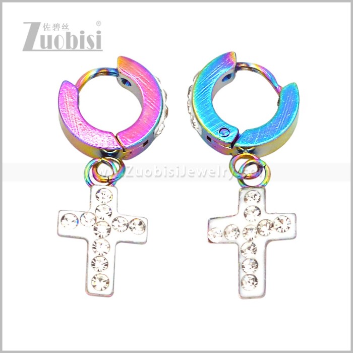 Stainless Steel Earring e003081C2