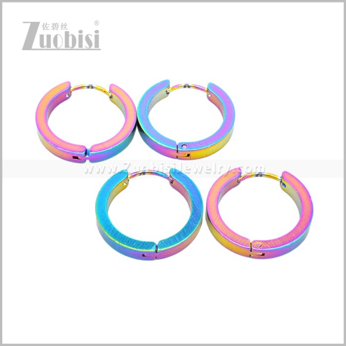 Stainless Steel Earring e003061C2