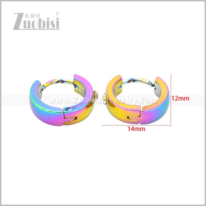 Stainless Steel Earring e003039C2