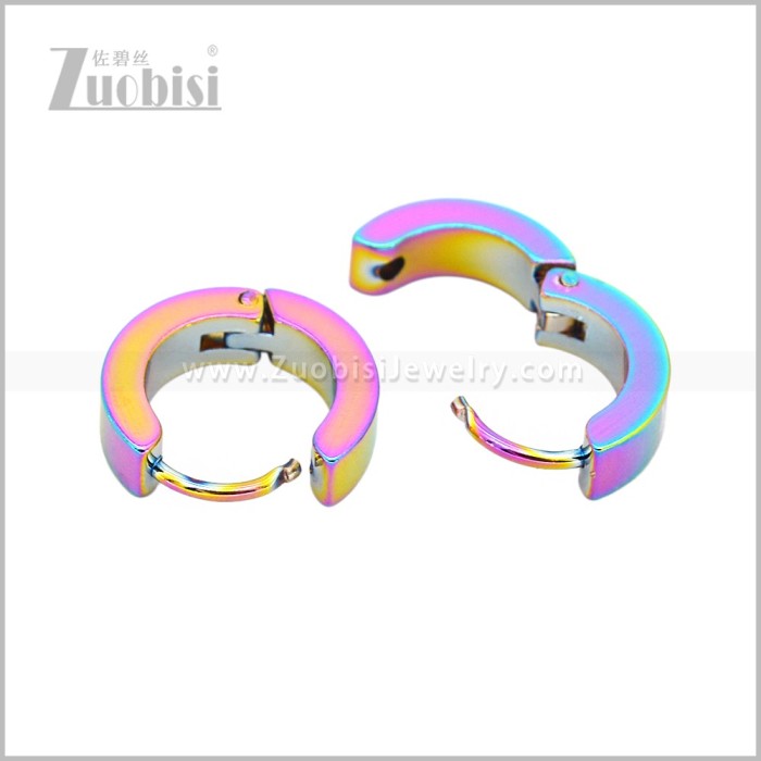 Stainless Steel Earring e003062C6