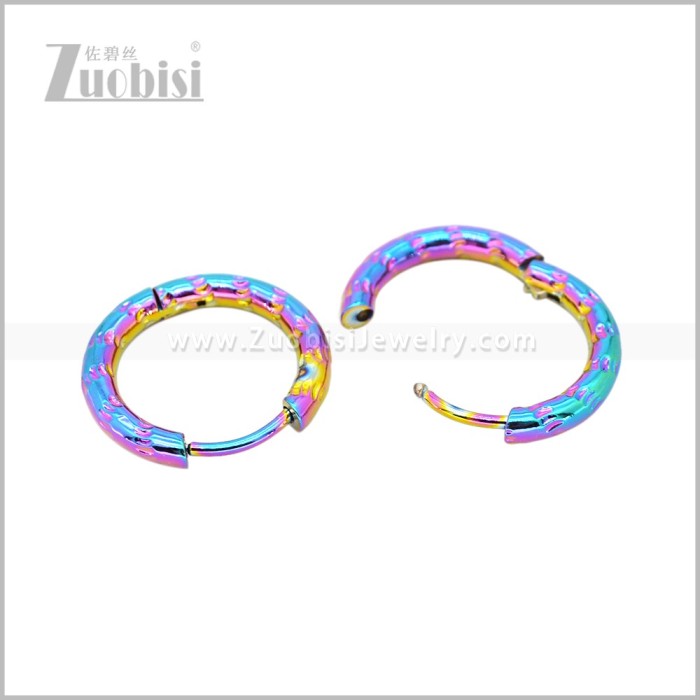 Stainless Steel Earring e003045C