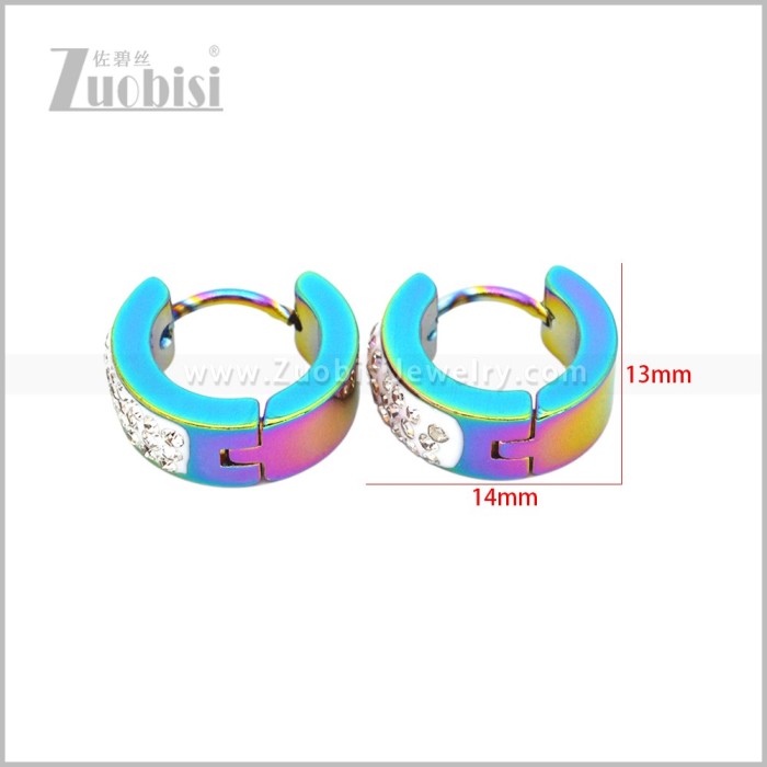 Stainless Steel Earring e003057C