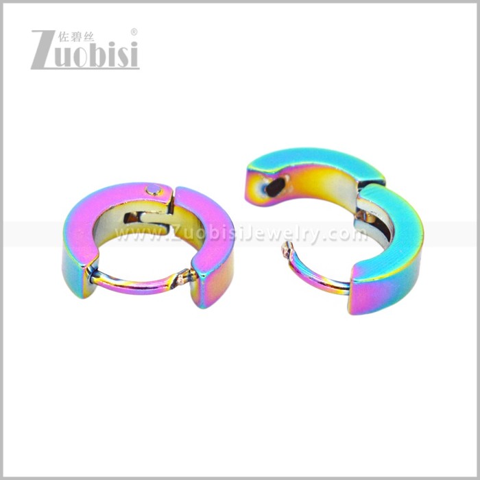 Stainless Steel Earring e003062C3