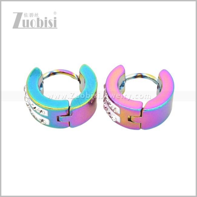 Stainless Steel Earring e003060C1