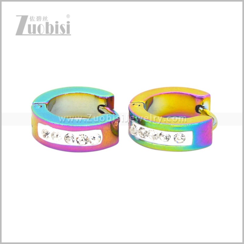 Stainless Steel Earring e003067C2