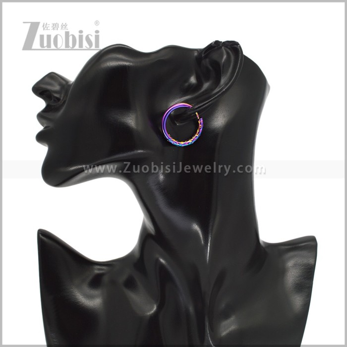 Stainless Steel Earring e003044C2