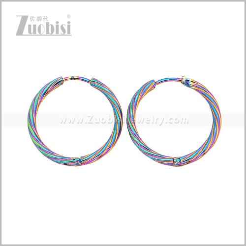 Stainless Steel Earring e003058C2
