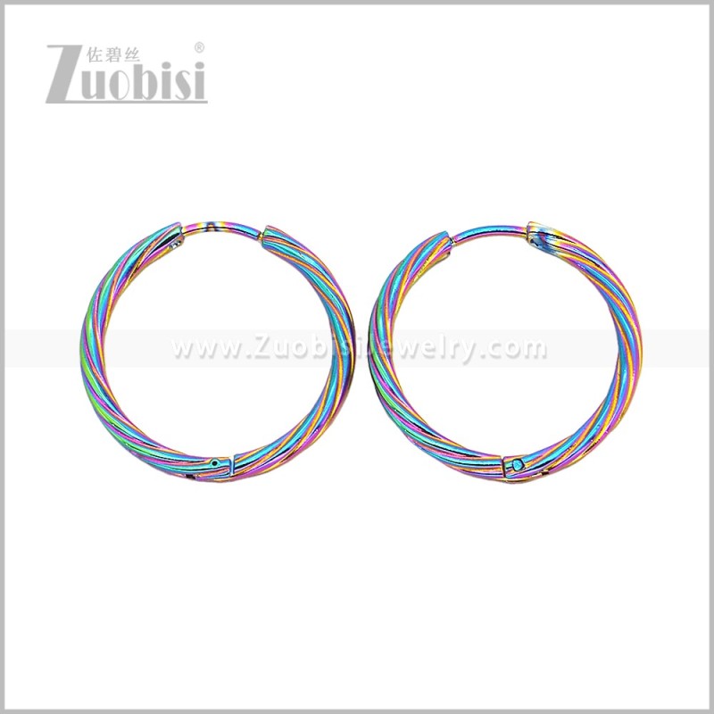 Stainless Steel Earring e003058C2