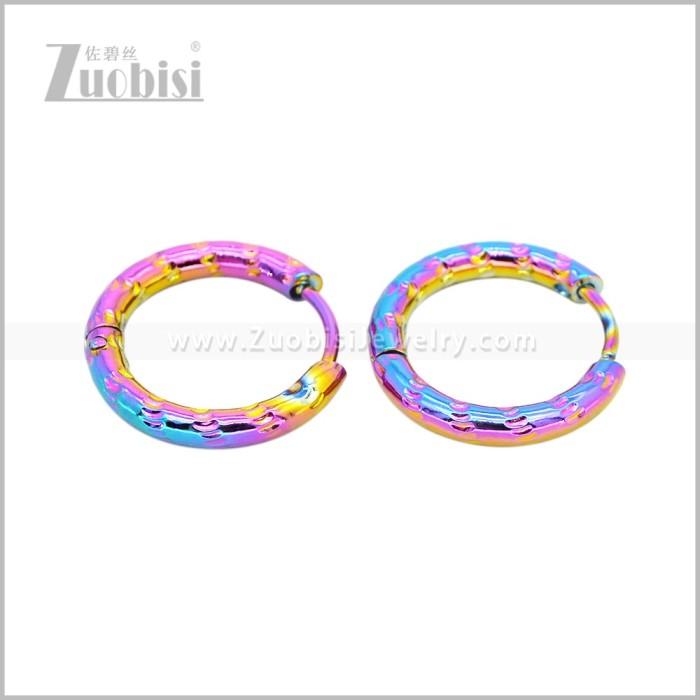 Stainless Steel Earring e003045C