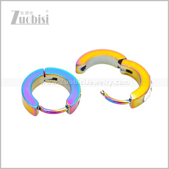 Stainless Steel Earring e003064C2