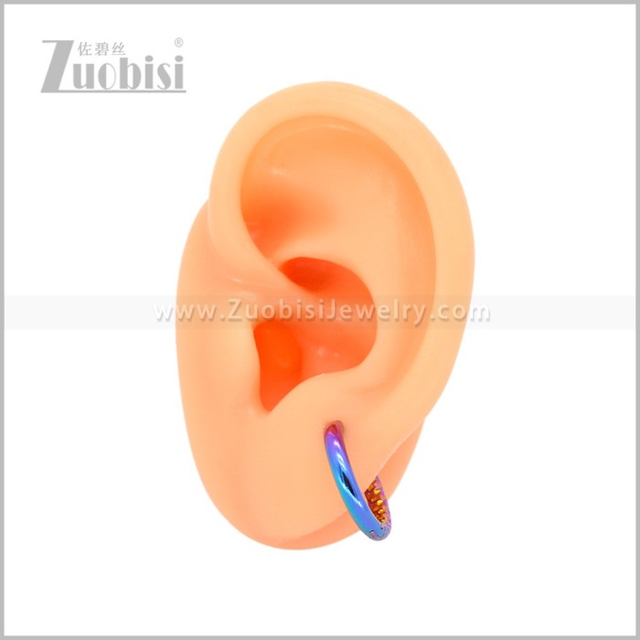 Stainless Steel Earring e003044C1