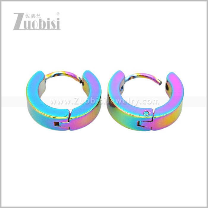 Stainless Steel Earring e003062C6