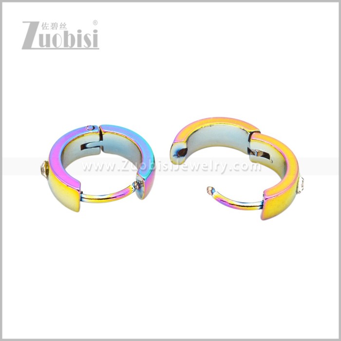 Stainless Steel Earring e003039C2