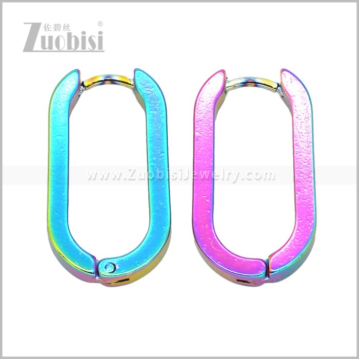 Stainless Steel Earring e003087C